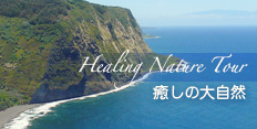 healing_nature_tour